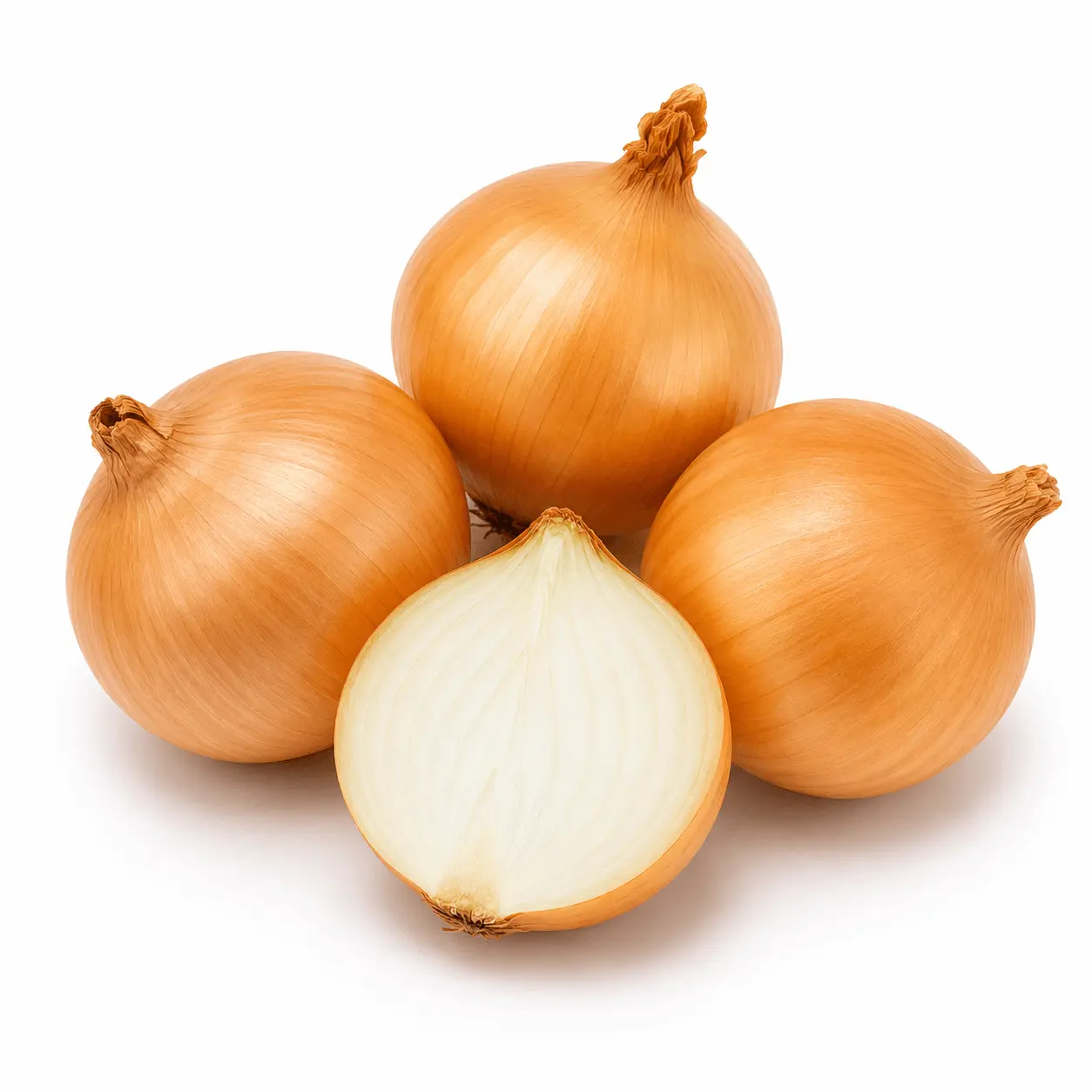 Egyptian golden onions for export