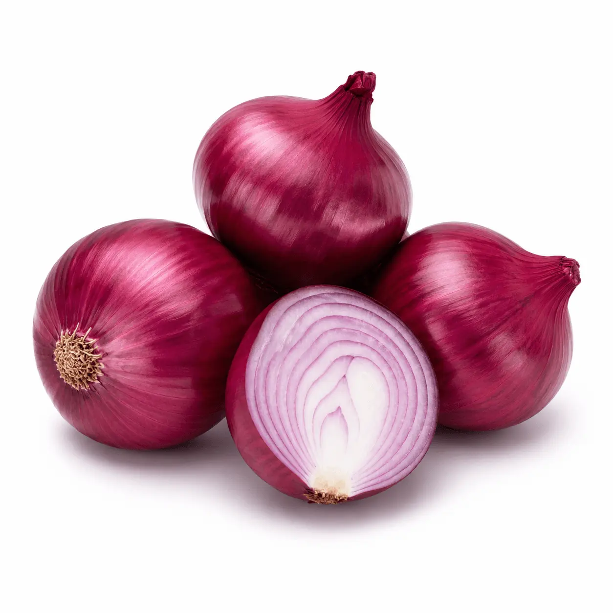 Egyptian red onions for export