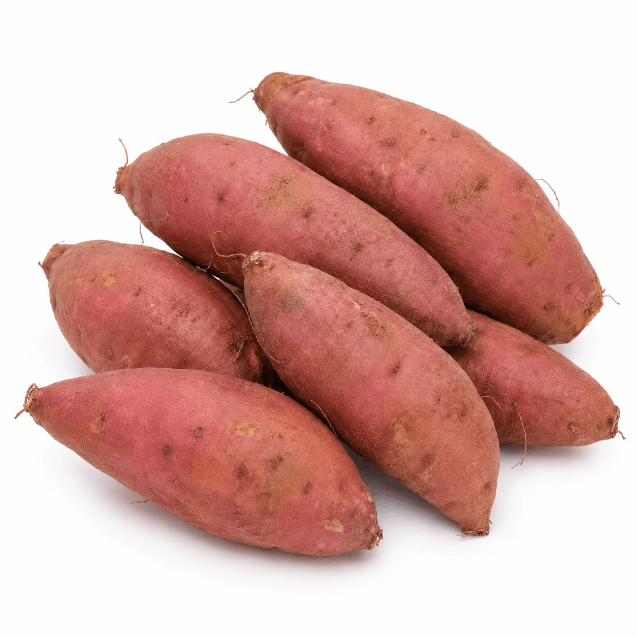 Egyptian Beauregard sweet potato