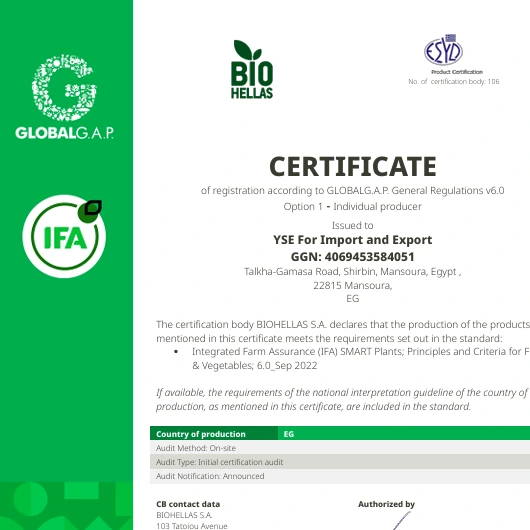 GlobalGAP certification and responsible documentation