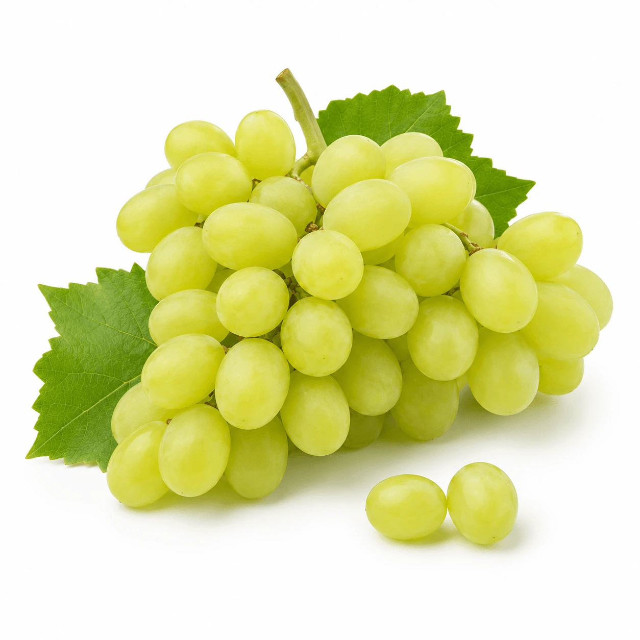 Egyptian White Sugraone seedless grapes for export