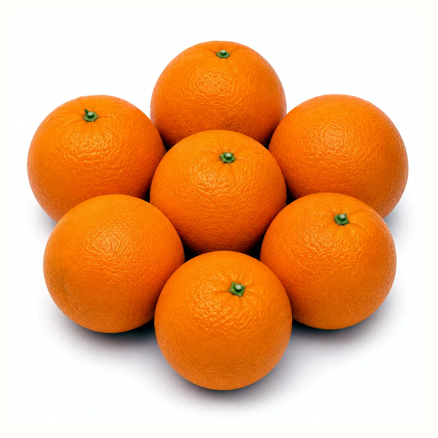 Egyptian Navel and Valencia oranges and lemons