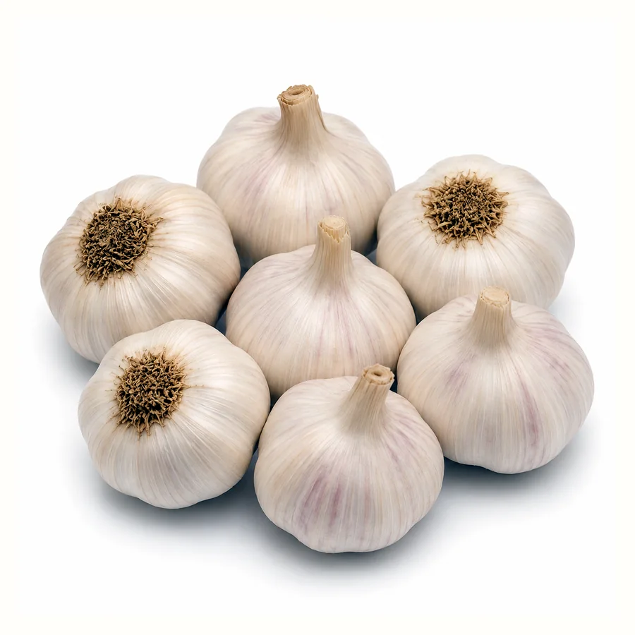 Egyptian white garlic red garlic Balady garlic and Chinese garlic